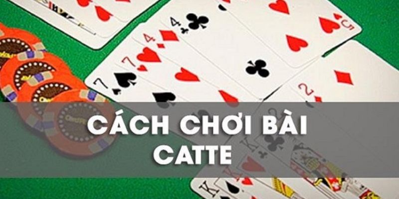 Cách chơi bài catte luôn thắng